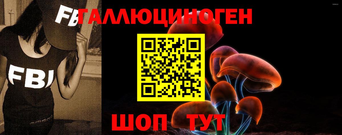 Псилоцибиновые грибы прущие грибы Конаково